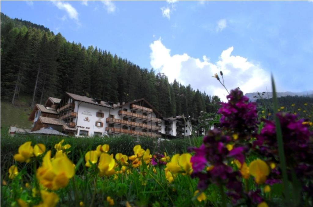 Hotel Scoiattolo Teser im Fleimtal Exterior foto